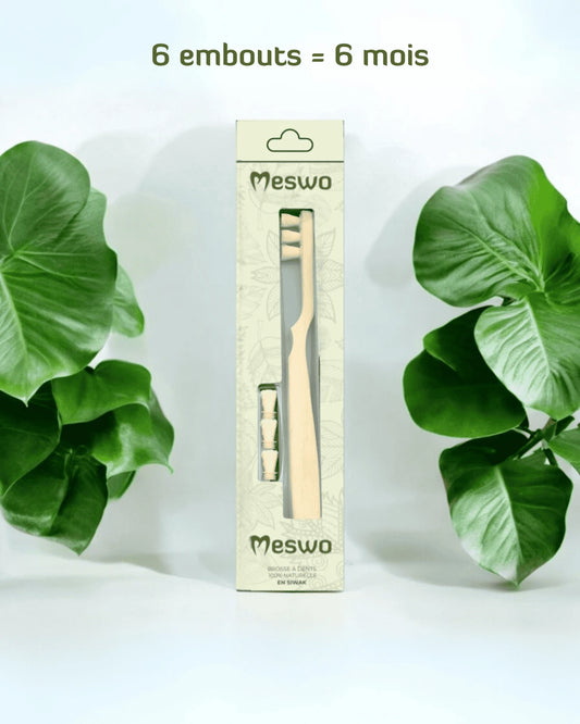 Brosse à dents Meswo 100% naturelle, efficace et rechargeable en siwak
